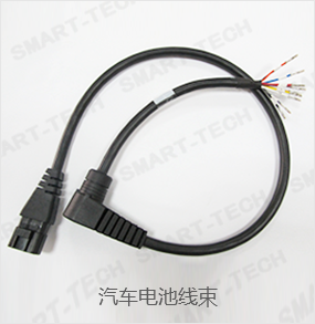 汽車(chē)電池線(xiàn)束